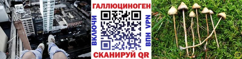 Псилоцибиновые грибы ЛСД Мензелинск