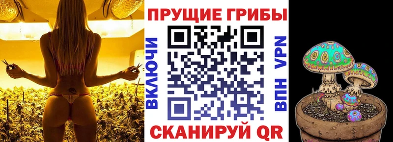 продажа наркотиков  Мензелинск  это телеграм  Псилоцибиновые грибы прущие грибы  KRAKEN ТОР 